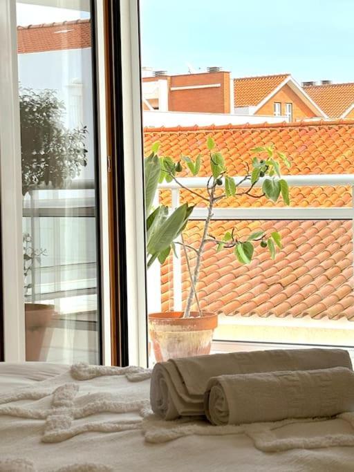 Nazare Boutique W Sea View And Private Rooftop Terace Apartment Exterior photo